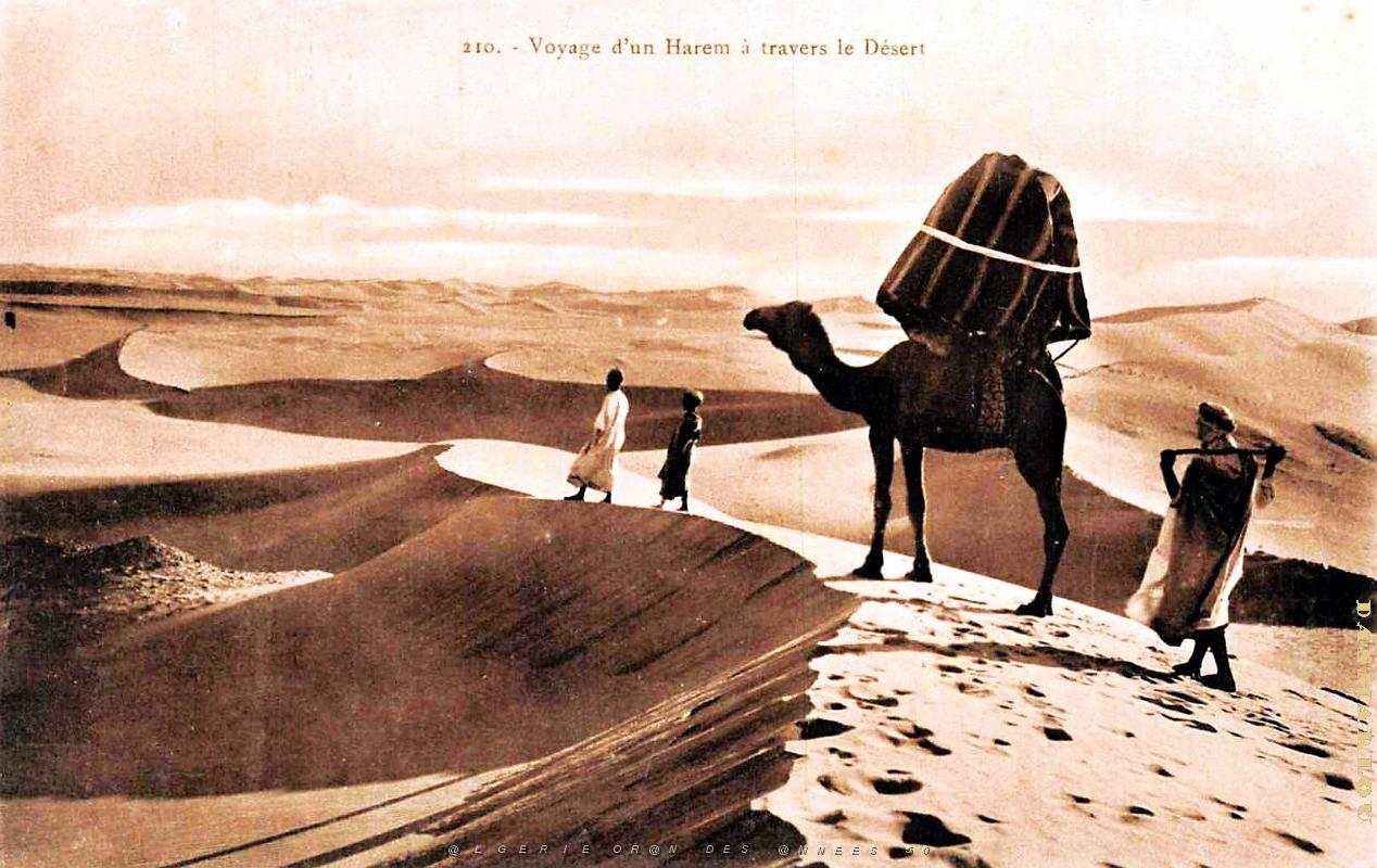 Algerie - Sahara - Voyage Harem.jpg